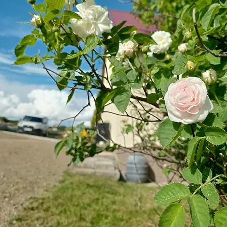 Gawlasoowka * 인와우드