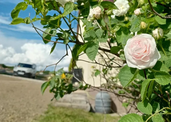 Gawlasoowka * אינוואלד